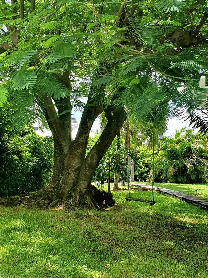 ル・ヴォクランLe Jardin Du Petit Macabouアパートメント エクステリア 写真